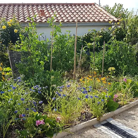 Detente Et Entre Et Marais Villeneuve-en-Retz