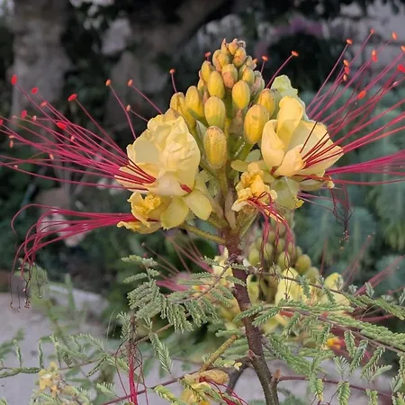 Detente Et Entre Et Marais Tatil Evi Villeneuve-en-Retz