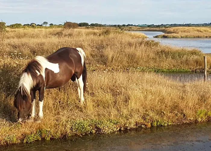 Détente Et Entre Et Marais Villeneuve-en-Retz