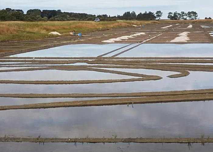 Détente Et Entre Et Marais Villeneuve-en-Retz