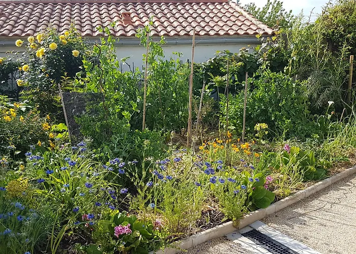 Détente Et Entre Et Marais Villeneuve-en-Retz