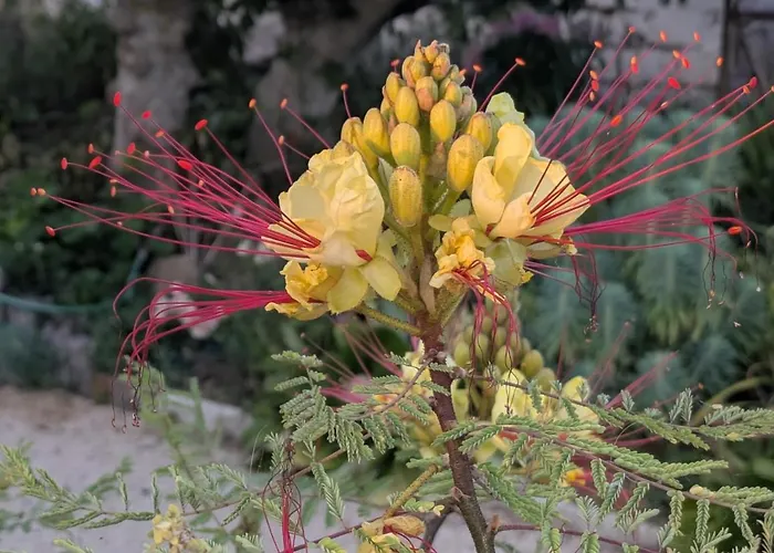 Détente Et Entre Et Marais Сasa de vacaciones Villeneuve-en-Retz